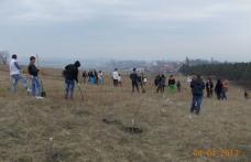 Parteneriat „Eco” între Primăria Dorohoi și Grup Școlar „Regina Maria”