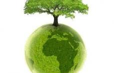 Mişcarea pentru Botoşani va ecologiza zona pădurii Gorovei