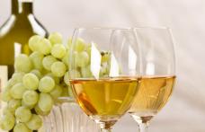 Lucruri pe care nu le ştiai despre bere şi vin