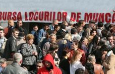 AJOFM Botoşani: Vezi posturile vacante, anunţate la Bursa locurilor de muncă de vineri