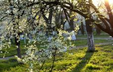 După 4 mai vin ploile. Vezi prognoza meteo până pe 10 mai