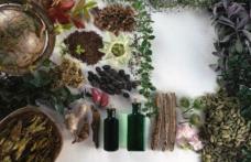 Leacuri din plante pentru cele mai frecvente probleme de sănătate