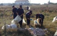 40 de jandarmi botoşăneni vor participa la „Let’s do it România”