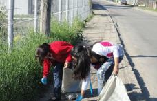 Activitate de ecologizare a Școlii „Ștefan cel Mare” nr.2 Dorohoi