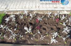Spiritul civic lasă de dorit: „Dispariţii misterioase” partea a II-a