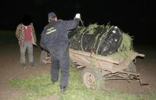 Mii de ţigări de contrabandă transportate cu căruţa