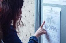 Peste 300 de dorohoieni în căutarea unui loc de muncă