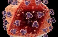 UE la Fondul mondial de luptă împotriva SIDA, tuberculozei şi malariei