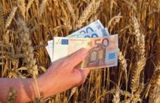 Agricultorii pot primi despăgubiri dacă au suferit pagube din cauza vremii