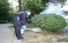 ANUNŢ IMPORTANT: Acțiuni de combatere a dăunătorilor la Dorohoi