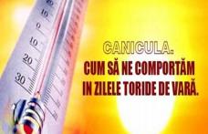 Sfaturi de la pompieri pentru zilele caniculare