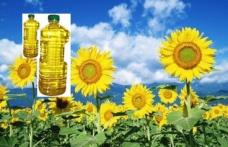 Șase milioane de euro investesc italienii la Păltiniş într-o fabrică de ulei 