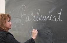 Bacalaureat 2012: Vezi cum poţi rezolva subiectul la română pentru a obţine o notă bună