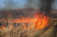 70 de hectare de vegetaţie uscată, mistuite de flăcări