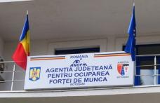AJOFM Botoșani: ÎN ATENȚIA ANGAJATORILOR