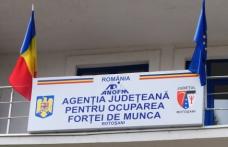A fost scos la concurs postul de director executiv al AJOFM Botosani