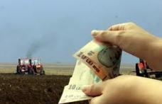 Fermieri, ați fost loviți de secetă? Aflați cum puteți primi despăgubiri înainte de termen