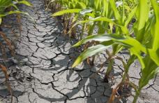 Seceta ţine pânâ în octombrie. Vezi prognoza meteo pe trei luni