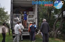 Fundaţia EHD din Germania, din nou alături de dorohoieni FOTO