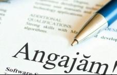 AJOFM: Locuri noi de muncă pentru strungar, mecanic şi paznic