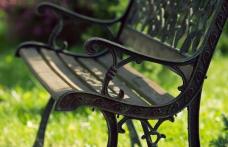 Primăria Dorohoi va reamenaja Parcul din zona Poştei