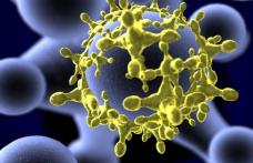 Un nou VIRUS PERICULOS pune pe jar lumea medicală