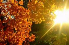 Luna octombrie începe cu temperaturi de vară 