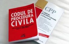Camera Deputaţilor a adoptat Legea de punere în aplicare a Codului penal