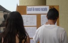 AJOFM: Locuri noi de muncă pentru economist, consilier instituție publică și muncitor constructor