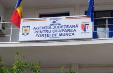 ANOFM: A crescut numărul șomerilor în județul Botoșani