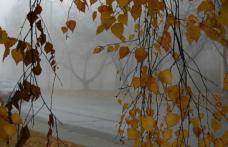 Temperaturile scad în noiembrie, iar ploile vor apărea doar local 
