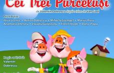 Teatrul Vasilache vă prezintă spectacolul „Cei trei purceluşi”