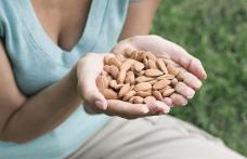 Soia, alimentul ideal pentru post