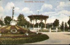 File din istoria orașului: În  Dorohoi acum, 100 de ani