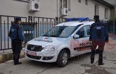 Poliția Locală Dorohoi: Bărbați prinși în timp ce tăiau ilegal un copac de pe marginea drumului