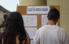 AJOFM: Locuri noi de muncă pentru pădurar, profesor și telefonist