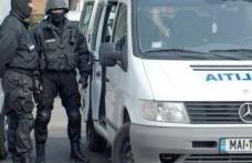 Grupări infracționale specializate în contrabandă cu țigări, destructurate