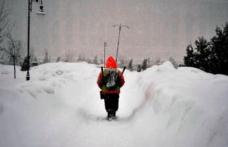 IŞJ Botoşani: Peste 70 de unităţi de învăţământ rămân închise miercuri, 19 decembrie. Vezi lista!