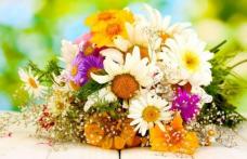 Horoscopul florilor: Ce plantă reprezintă zodia ta şi ce spune despre tine