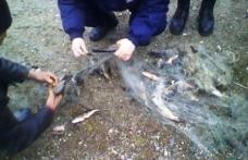 Dosar penal pentru trei bărbaţi prinşi la pescuit cu plasă monofilament