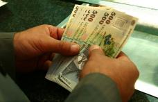 Vezi când vor primi producătorii agricoli banii pentru cererile depuse în 2012