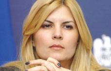 Motivul incredibil pentru care Elena Udrea nu a făcut nuntă 