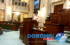 Doina Federovici aduce în atenţia ministrului Mariana Câmpeanu, fenomenul de violenţă în familie