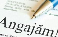Angajări! Douăzeci de locuri de muncă oferite de o firmă de confecții
