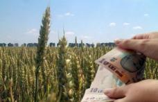Sistemul de impozitare în agricultură a fost revizuit. Vezi cine va fi scutit de impozit