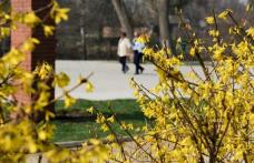 Vezi cum va fi vremea de Florii, 1 Mai şi Paşte