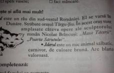 Gafă impardonabilă într-un manual şcolar