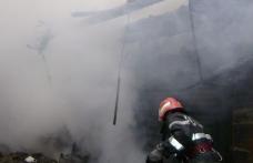 Adăpost de animale incendiat de un cablu electric defect