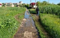 Primim la redacție: Dorohoi - Canalizare cu probleme (partea a III-a) - FOTO