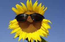 Temperaturi caniculare în aproape toată ţara. Vezi prognoza meteo pe următoarele zile